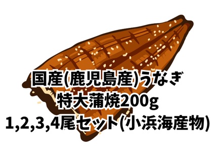 小浜海産物鹿児島産国産うなぎ蒲焼200g-1,2,3,4尾セット