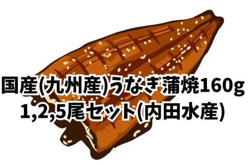 内田水産九州産国産うなぎ蒲焼160g-1,2,5尾セット