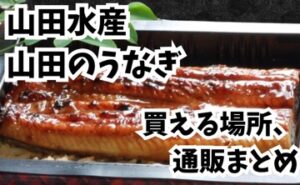 山田水産-山田のうなぎ