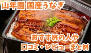 山年園国産うなぎ