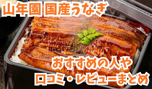 山年園国産うなぎ
